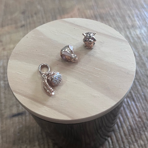 Pandora Rose Charm Set - Picture 2 of 3